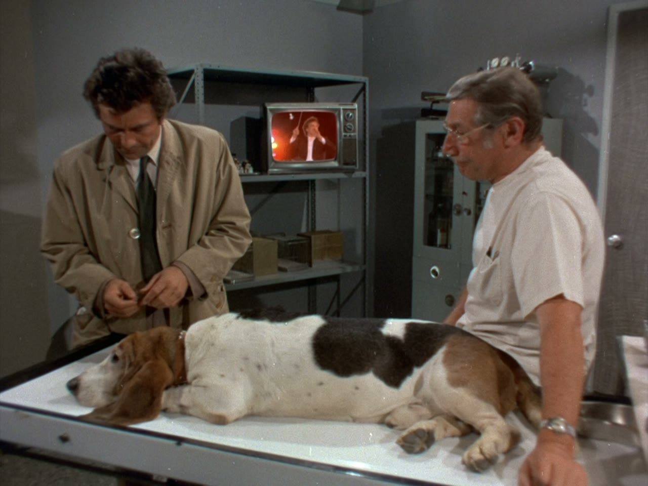 This is the episode where the lieutenant gets his dog