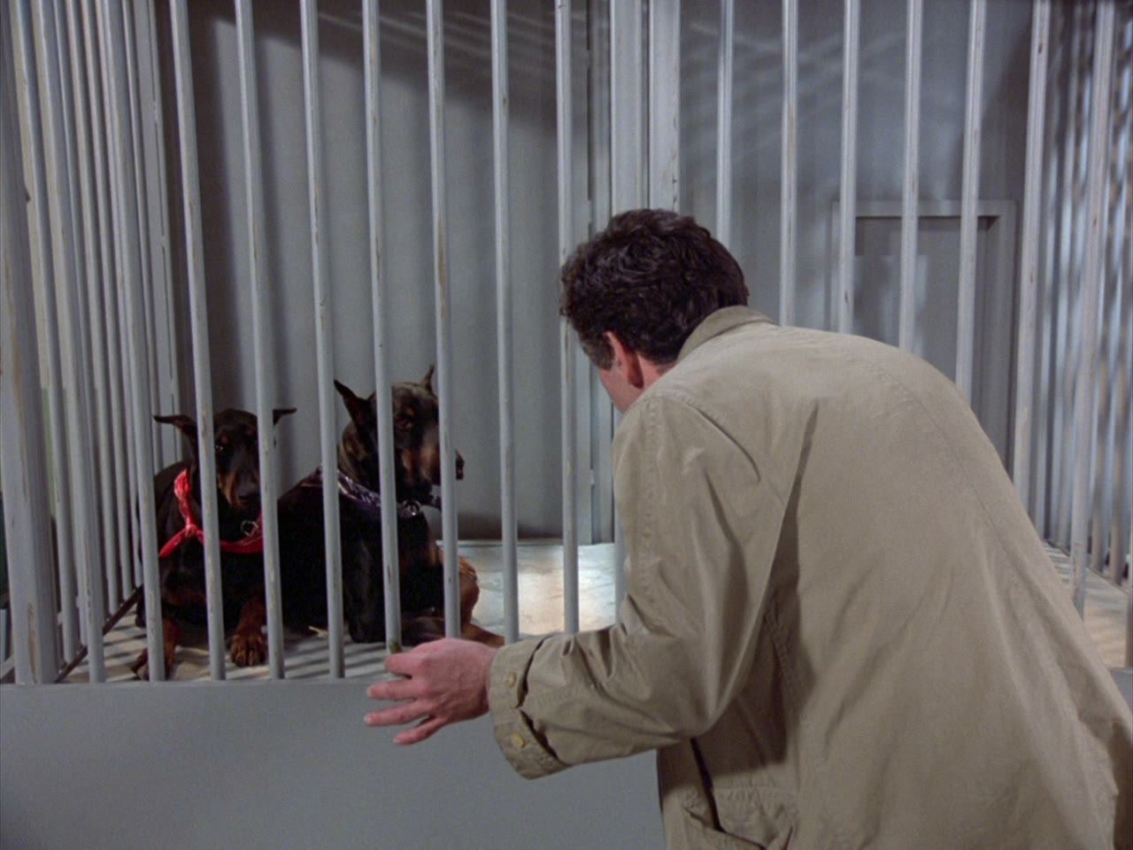 The lieutenant on one side of the bars, the dobermans on the other