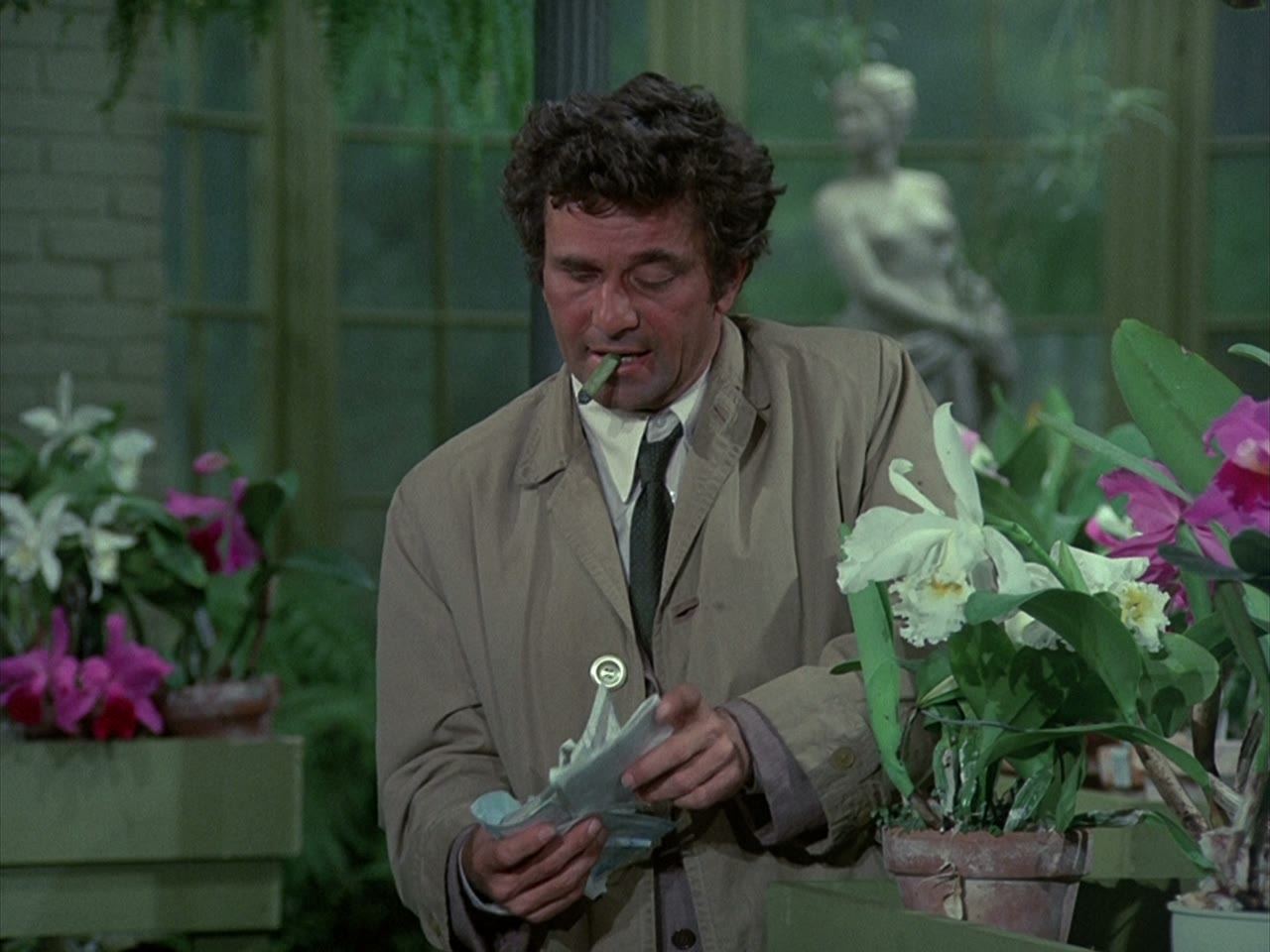 In the greenhouse, where a flower costs more than a car
