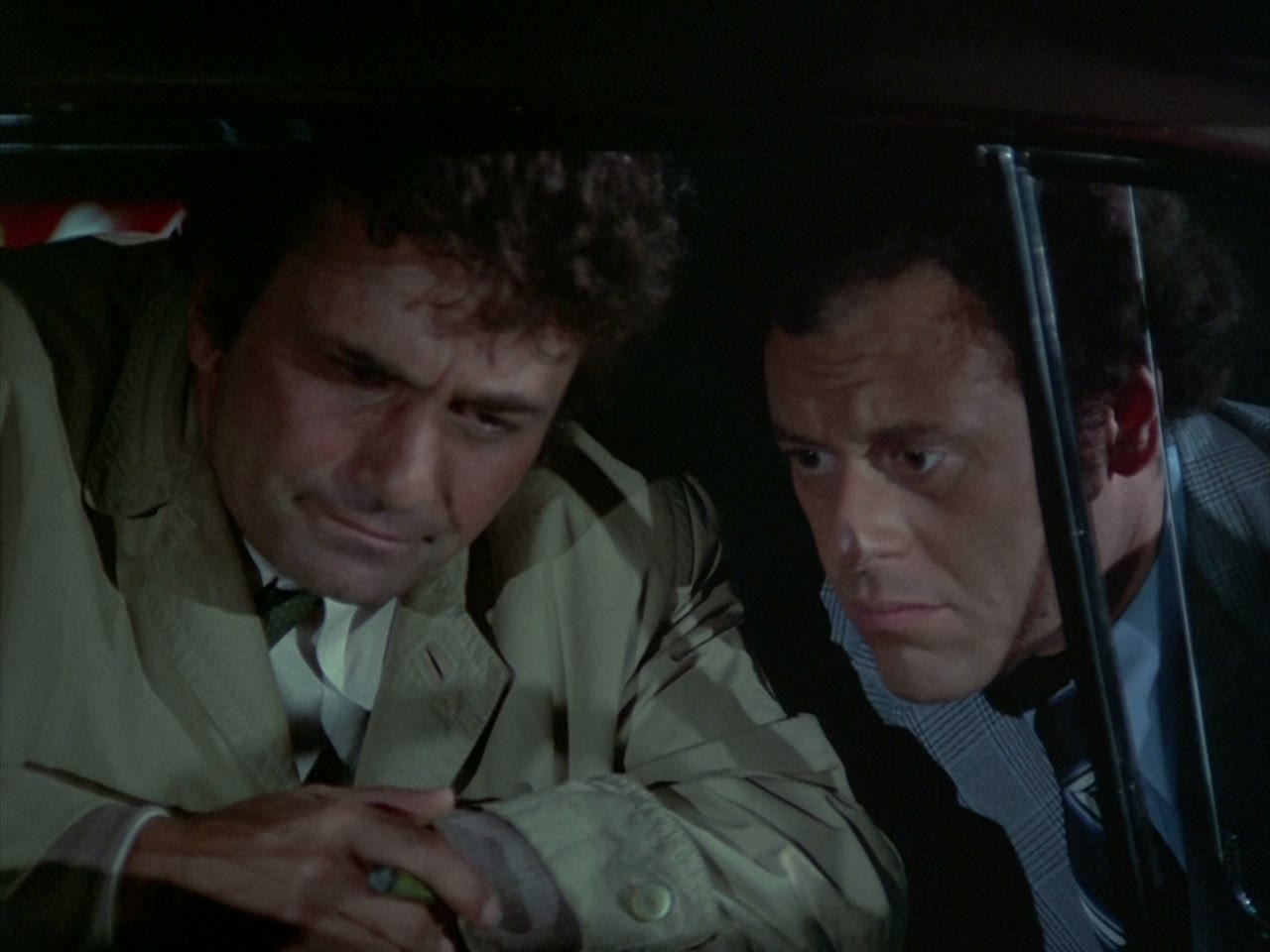A stakeout with Sergeant Wilson