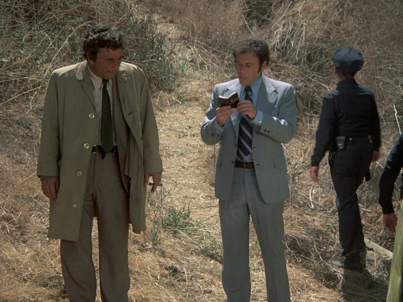 In the ravine: what was meant to look like a kidnapping