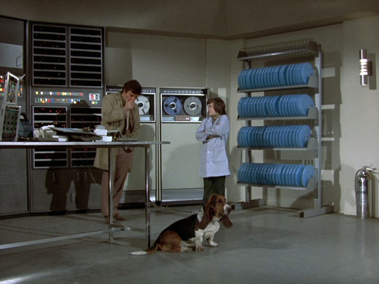 The computer hall, and a dog that could not care less